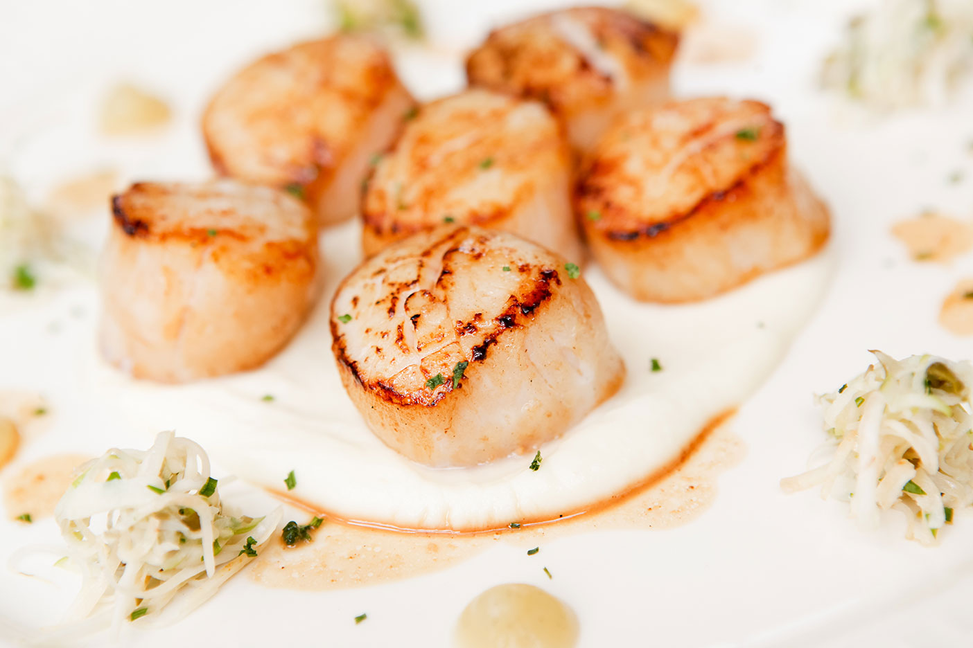 Canadian giant scallops caliber U10 and U8 – Aliments LAD